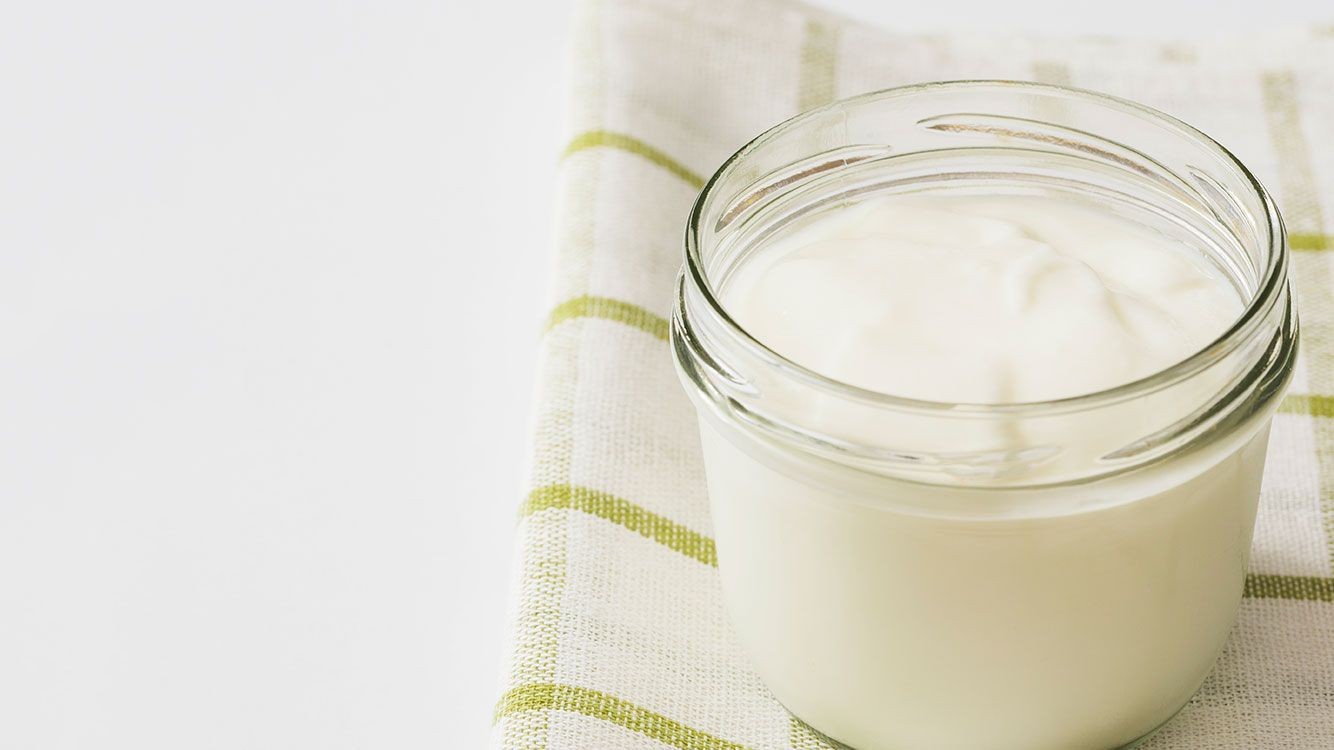 Lactobacillus bulgaricus - Bulgarian Inventors and Discoveries ...